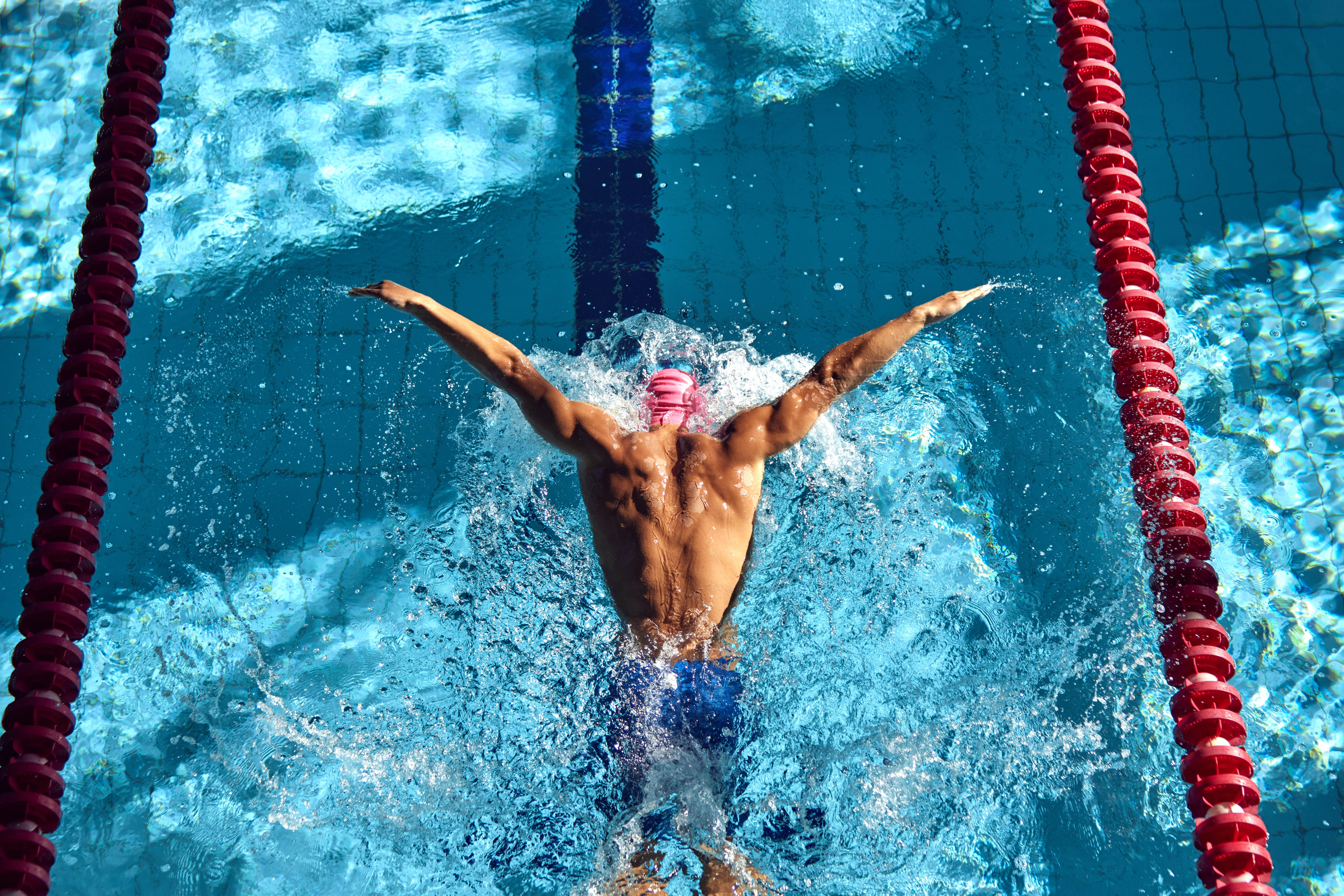 Overhead shot of a strong man's back as he swims in a pool Overhead shot of a strong man's back as he swims in a pool
